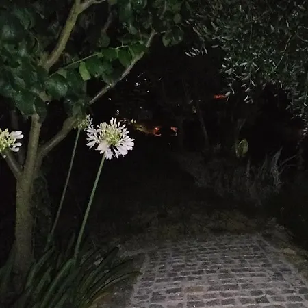 Crasto Payva Douro Nature