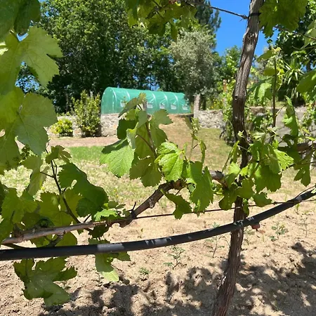 Crasto Payva Douro Nature