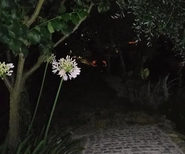 Crasto Payva Douro Nature