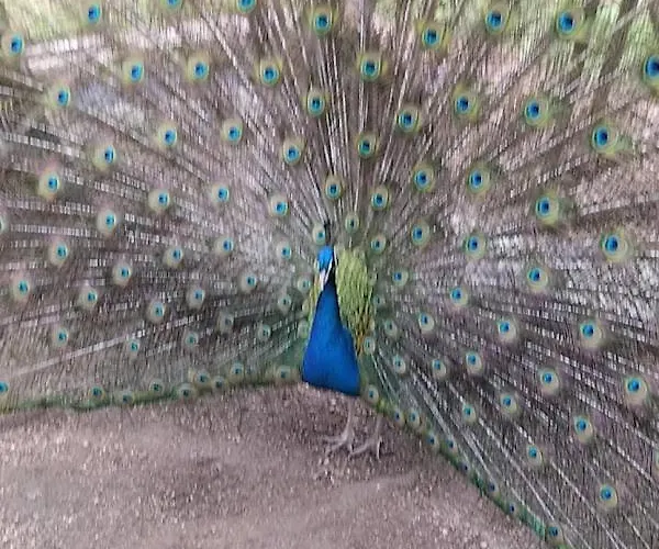 בית חווה Crasto Payva Douro Nature קסטלו דה פייבה