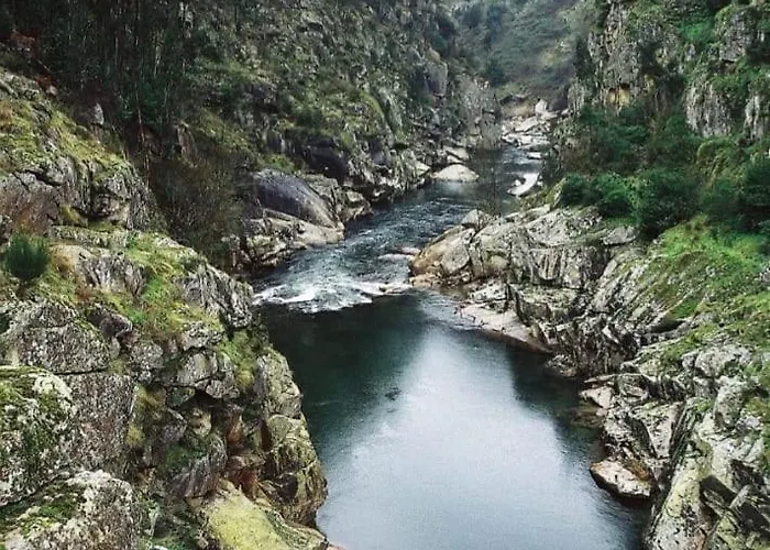 Κατάλυμα σε φάρμα Crasto Payva Douro Nature Castelo de Paiva