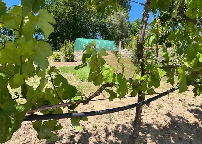 Crasto Payva Douro Nature